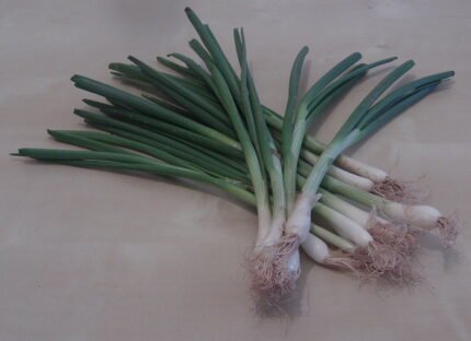 Spring Onion Benefits, Nutrition, Uses, Side Effects