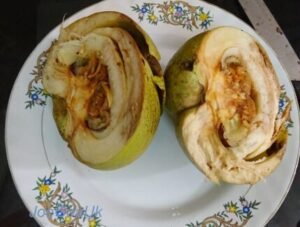 Elephant apple uses