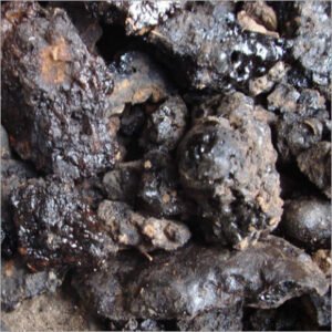 Raw shilajit