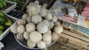 Wood Apple Varieties