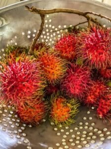 Rambutan uses