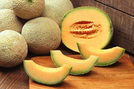 muskmelon cantaloupe