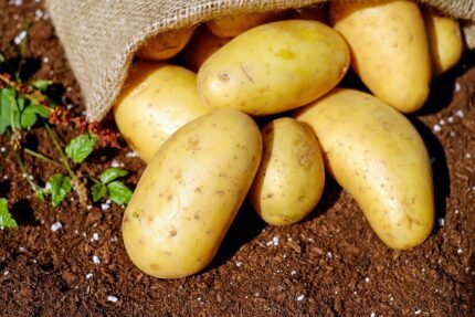 Are potatoes gluten free