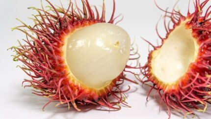 Rambutan Benefits Nutrition Uses Side Effects