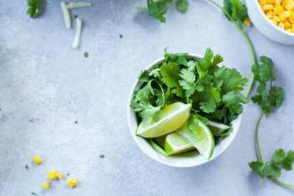 parsley vs cilantro