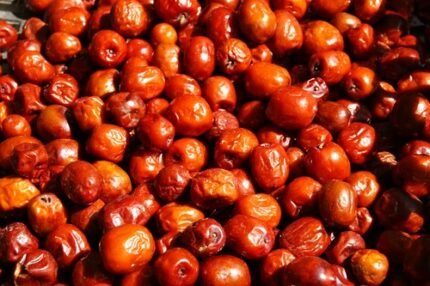 Ber fruit (indian jujube)