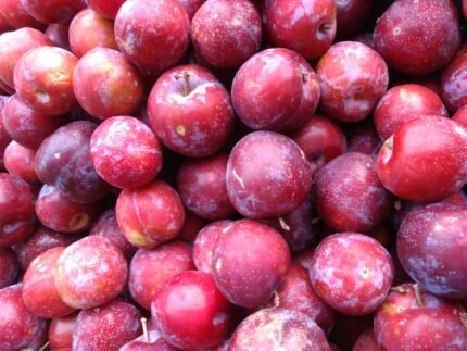 Aloo Bukhara (Plum) Nutrition, Benefits, Uses, Side Effects