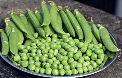 Green Peas (Matar)