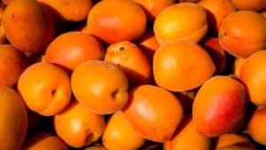 Apricots Benefits