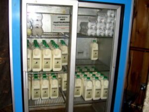 Raw Milk Refrigerator