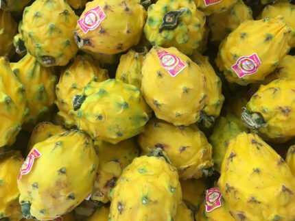 Yellow Dragon Fruits