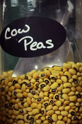 black eyed peas nutrition benefits side effects