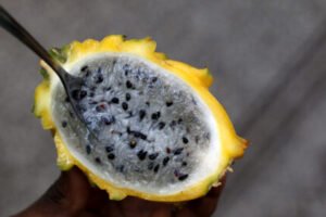 White flesh inside yellow dragon fruit