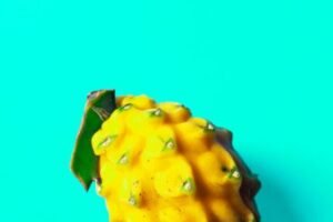 Yellow Dragon Fruit with Peel