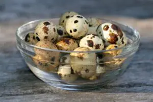 Quail Eggs Health Benefits, Nutrition, Side Effects
