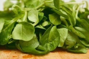 best dehydrated vegetables Spinach 