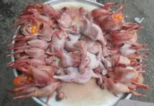 Quail Meat Health Benefits
