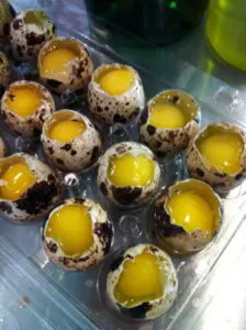 Quail Eggs Flavor and taste