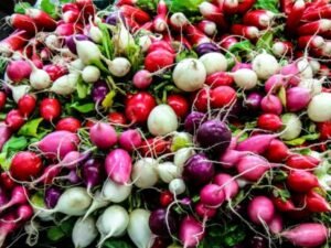 Nutrition of Radishes