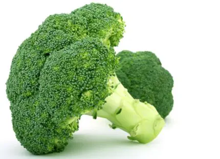 how long does broccoli last in the fridge