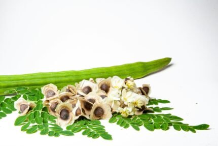 Drumstick (Moringa) Seeds benefits, nutrition, side effects