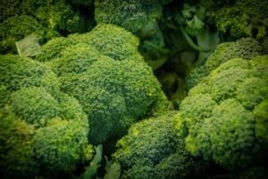 factors affecting shelf life of broccoli
