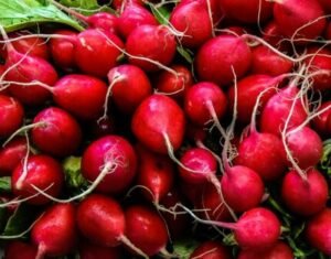 Health Benefits of Radish