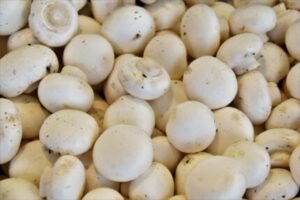 Best dehydrated vegetables - mushrooms