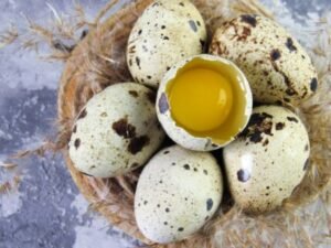 Quail Eggs benefits, nutrition, side effects