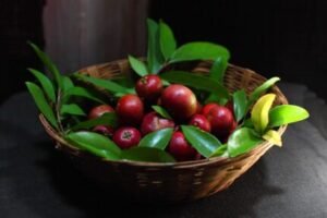 Potential Benefits of Kokum