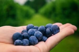 blueberries benefits for skin