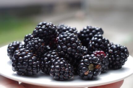 Blackberries benefits, nutrition, uses, side effects