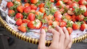 Buying Tips for strawberries