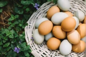 lean muscle building foods - eggs