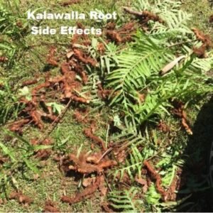 Kalawalla Root Side Effects