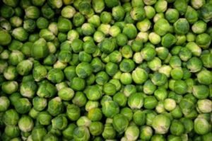 foods to avoid while on Eliquis - brussels-sprouts-sprouts-cabbage
