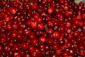 foods to avoid while on eliquis - cranberry products