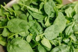 Malabar Spinach Health Benefits