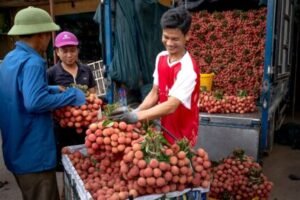 Lychee benefits for male