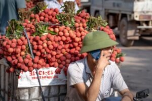 Lychee benefits for skin