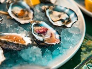 varieties of oysters