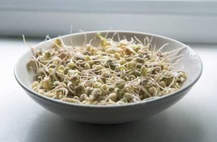 Are bean sprouts a superfood? health benefits, nutrition, risks and more