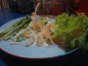 spring onion uses