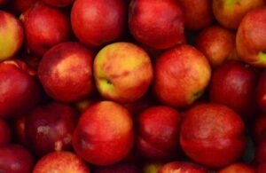 apples - top sources of dietary fiber