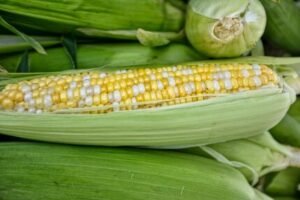 sweet corn calories