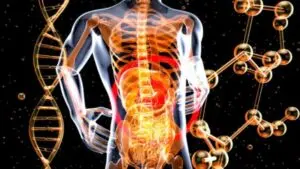 liver function impairment
