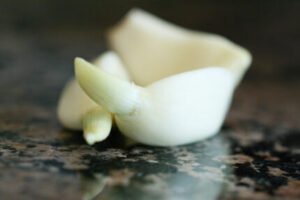 Sprouted Garlic Cloves