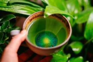 rich source of antioxidants - herbal teas